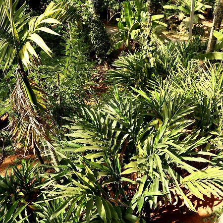 Spice Valley Home Stay & Tree House מונאר מראה חיצוני תמונה